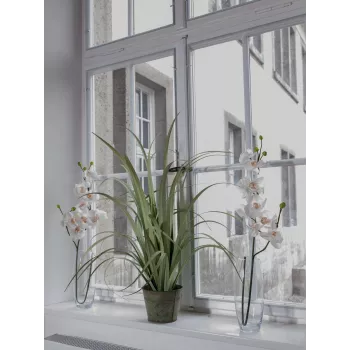 EUROPALMS ramo de orquídea artificial, creme-branco, 100 cm (82530323)