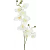 EUROPALMS ramo de orquídea artificial, creme-branco, 100 cm (82530323)