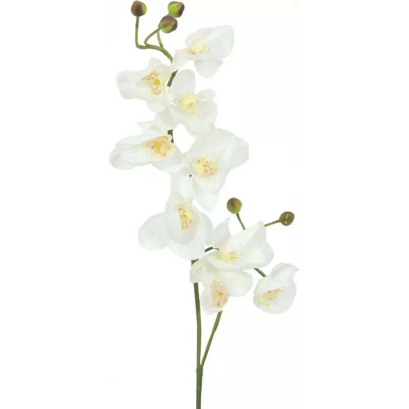 EUROPALMS ramo de orquídea artificial, creme-branco, 100 cm (82530323)