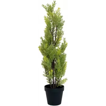 EUROPALMS Cipreste-de-Leyland Planta Artificial, 60cm 82606959