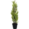 EUROPALMS Cipreste-de-Leyland Planta Artificial, 60cm 82606959