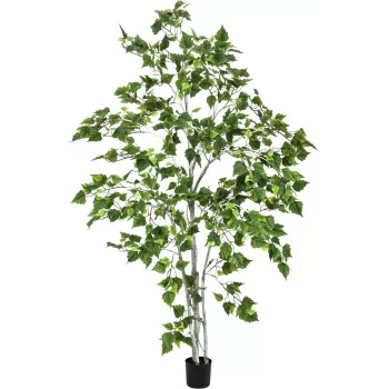 EUROPALMS Bétula Planta Artificial 180cm 82505231