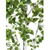 EUROPALMS Bétula Planta Artificial 180cm 82505231