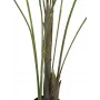 EUROPALMS Areca de Folha Grande Palmeira Areca Artificial, 185cm (82509442)