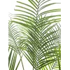 EUROPALMS Areca de Folha Grande Palmeira Areca Artificial, 185cm (82509442)