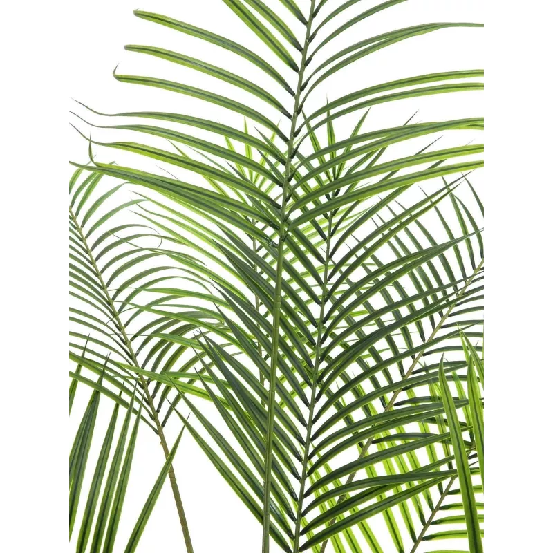 EUROPALMS Areca de Folha Grande Palmeira Areca Artificial, 185cm (82509442)