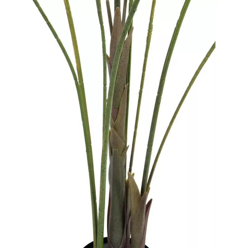 EUROPALMS Areca de Folha Grande Palmeira Areca Artificial, 185cm (82509442)