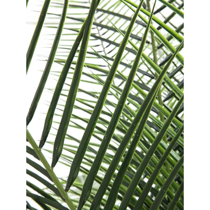 EUROPALMS Palmeira Fénix Deluxe Planta Artificial 220cm 82509722