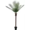 EUROPALMS Palmeira Fénix Deluxe Planta Artificial 220cm 82509722