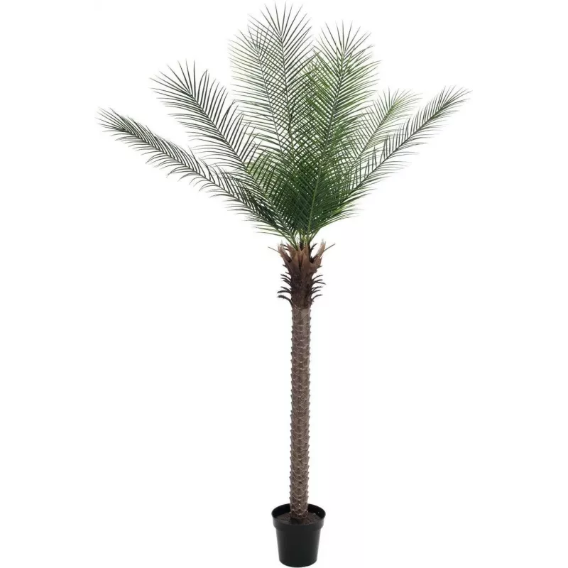 EUROPALMS Palmeira Fénix Deluxe Planta Artificial 220cm 82509722