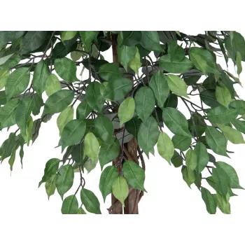 EUROPALMS Ficus Benjamina Planta Artificial de Vários Troncos, 180 cm 82506126
