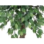 EUROPALMS Ficus Benjamina Planta Artificial de Vários Troncos, 180 cm 82506126