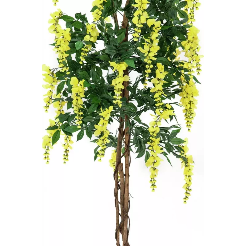 EUROPALMS Chuva-de-Ouro Planta Artificial, Amarelo, 180cm 82507116