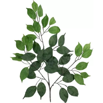 EUROPALMS ramo de ficus benjamina artificial, embalagem de 12 82506101