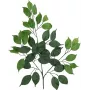 EUROPALMS ramo de ficus benjamina artificial, embalagem de 12 82506101