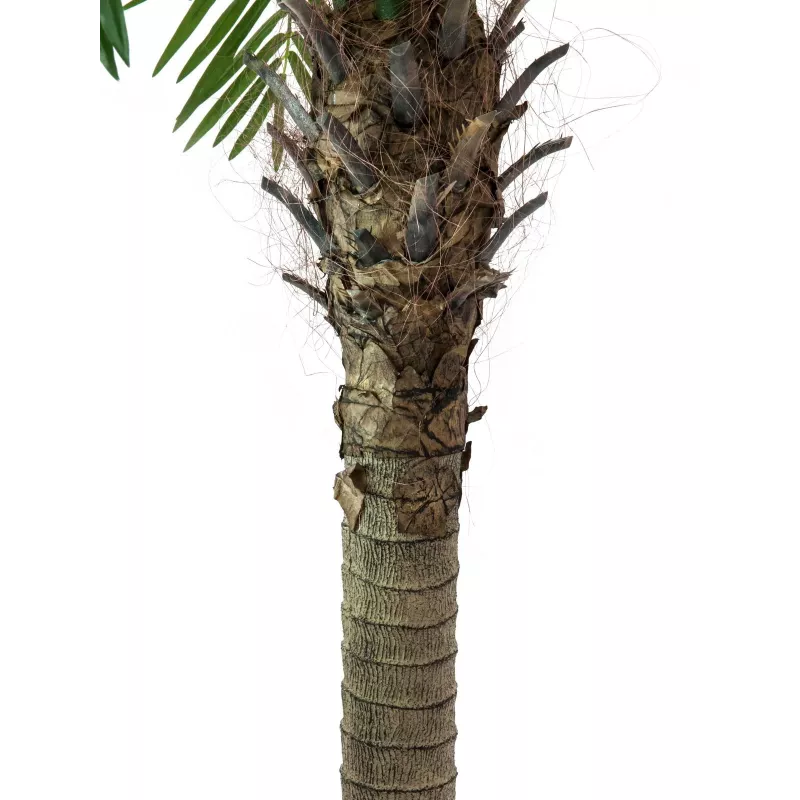 EUROPALMS Phoenix Palm Luxor planta artificial, 210cm 82510721