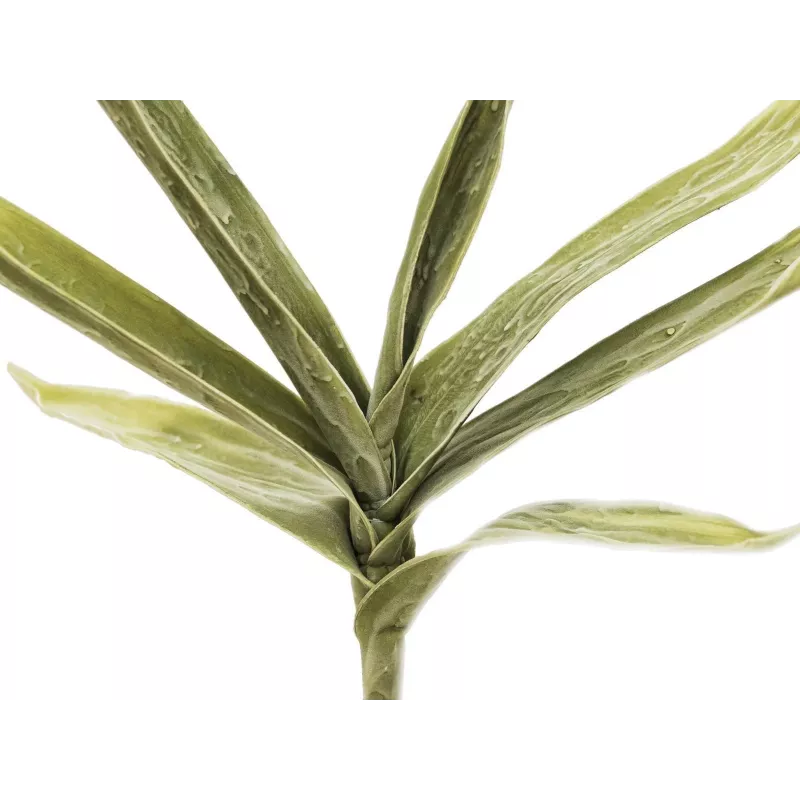 EUROPALMS ramo de iúca artificial (EVA), verde 82531063