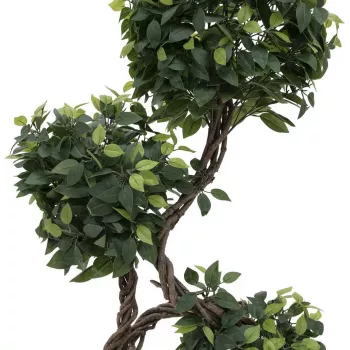 EUROPALMS planta artificial Ficus Multi Spiral Trunk, 160cm 82501563