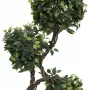 EUROPALMS planta artificial Ficus Multi Spiral Trunk, 160cm 82501563