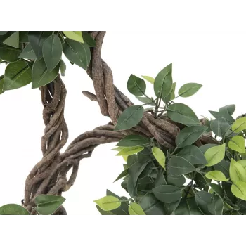 EUROPALMS planta artificial Ficus Multi Spiral Trunk, 160cm 82501563