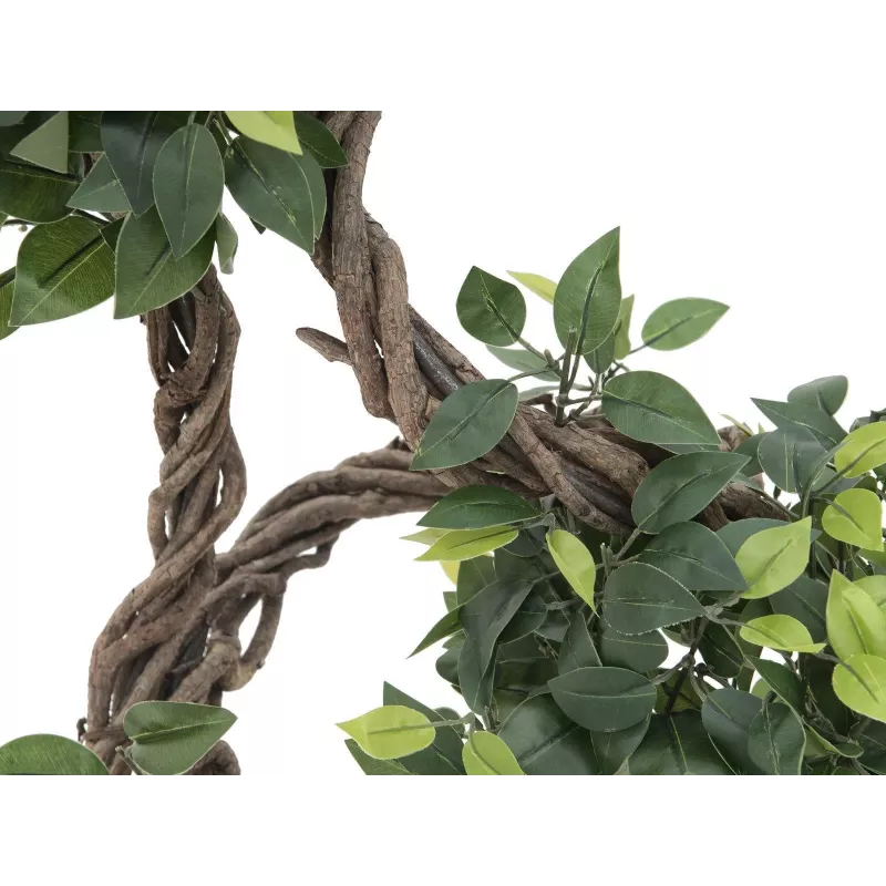 EUROPALMS planta artificial Ficus Multi Spiral Trunk, 160cm 82501563