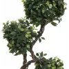 EUROPALMS planta artificial Ficus Multi Spiral Trunk, 160cm 82501563