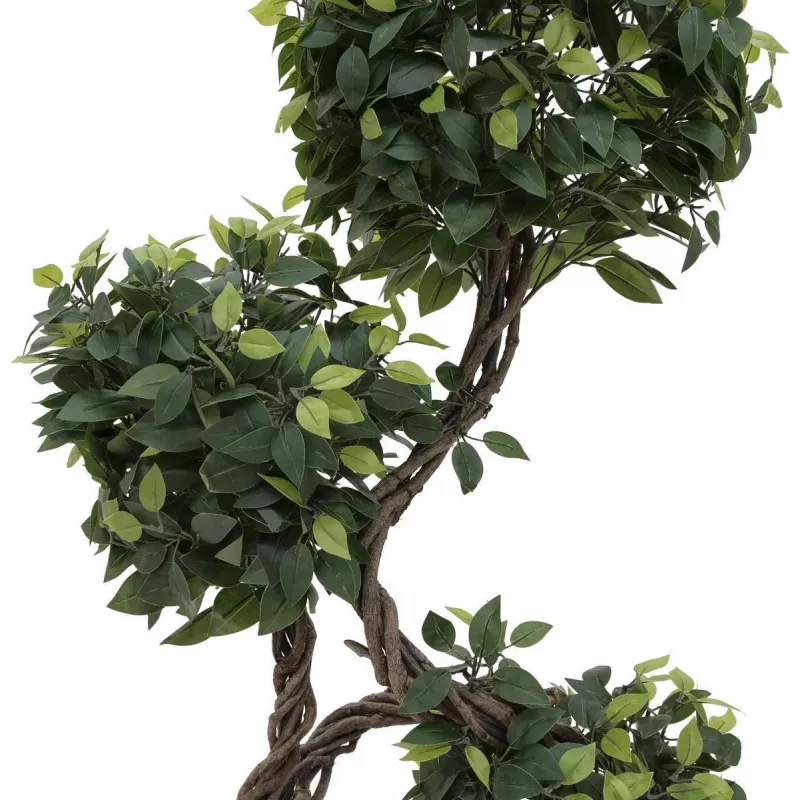 EUROPALMS planta artificial Ficus Multi Spiral Trunk, 160cm 82501563