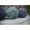 EUROPALMS bola de erva artificial, azul, 22cm 82606975