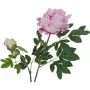 Ramo de peónias artificial EUROPALMS Premium, rosa, 100cm 82530220