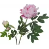 Ramo de peónias artificial EUROPALMS Premium, rosa, 100cm 82530220