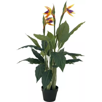 Planta artificial estrelícia EUROPALMS, 90 cm 82540502