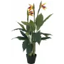 Planta artificial estrelícia EUROPALMS, 90 cm 82540502