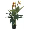 Planta artificial estrelícia EUROPALMS, 90 cm 82540502