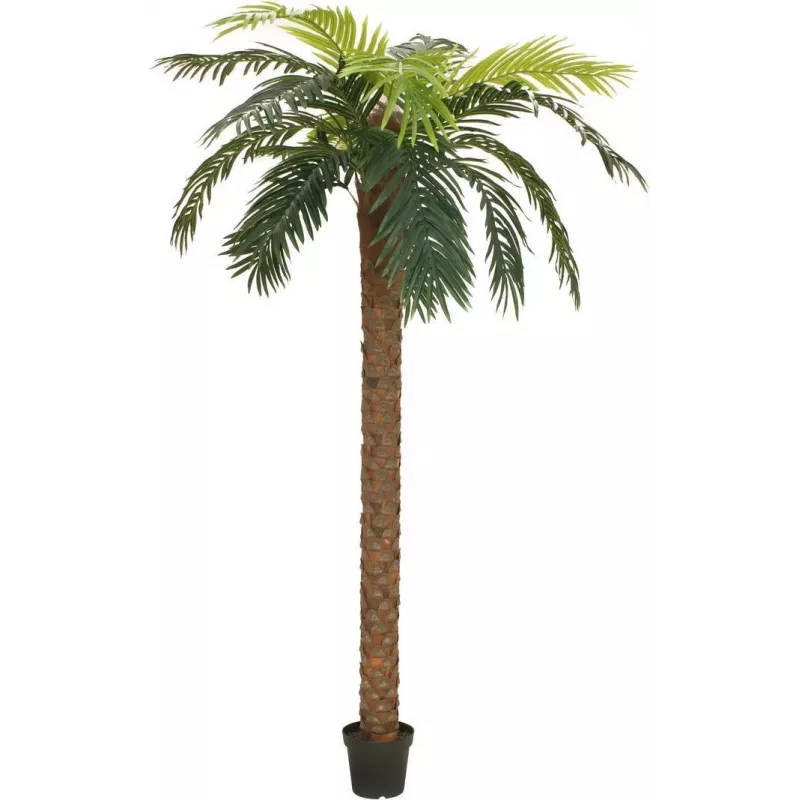 Palmeira fénix deluxe EUROPALMS planta artificial, 250cm 82509724