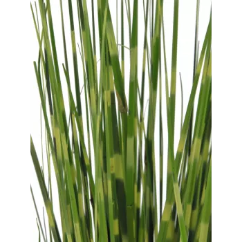 Erva zebra EUROPALMS, artificial, 90cm 82505863