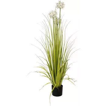 Planta artificial de alho ornamental EUROPALMS, branca, 120 cm 82600169