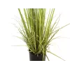 Arbusto perene com erva EUROPALMS, planta artificial, 182 cm 82600185
