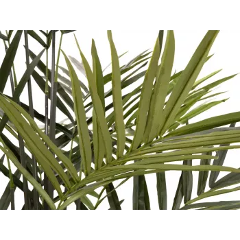 EUROPALMS Kentia Palmeira artificial 300cm 82511369