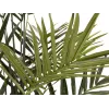 EUROPALMS Kentia Palmeira artificial 300cm 82511369