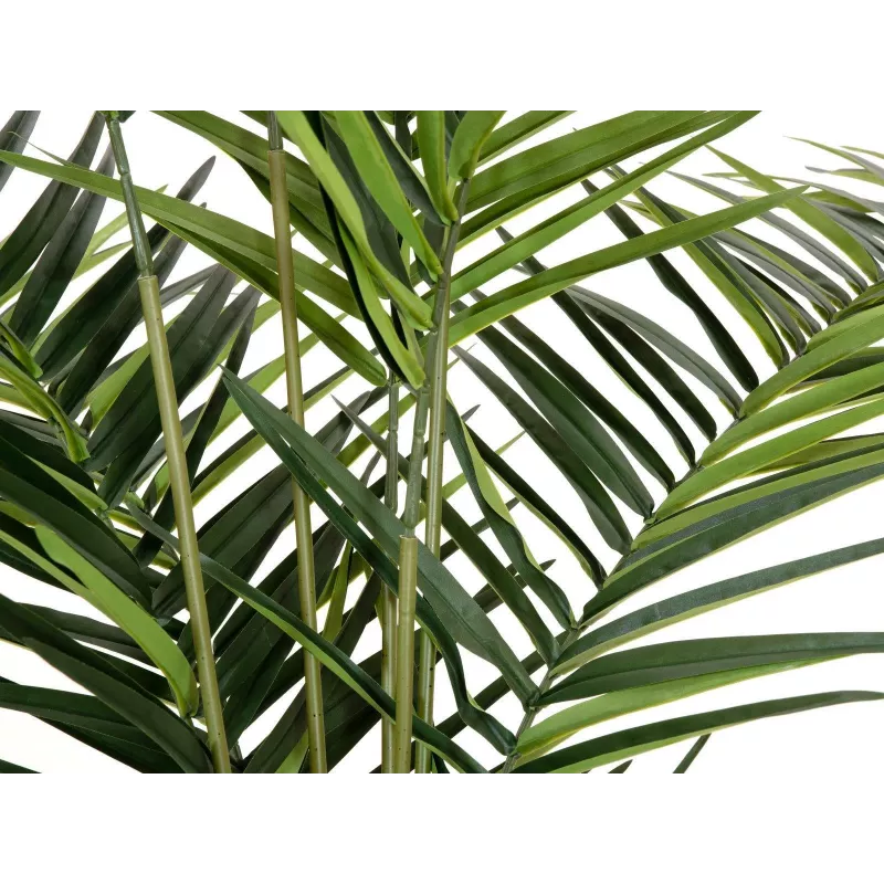 EUROPALMS Kentia Palmeira artificial 240cm 82511368