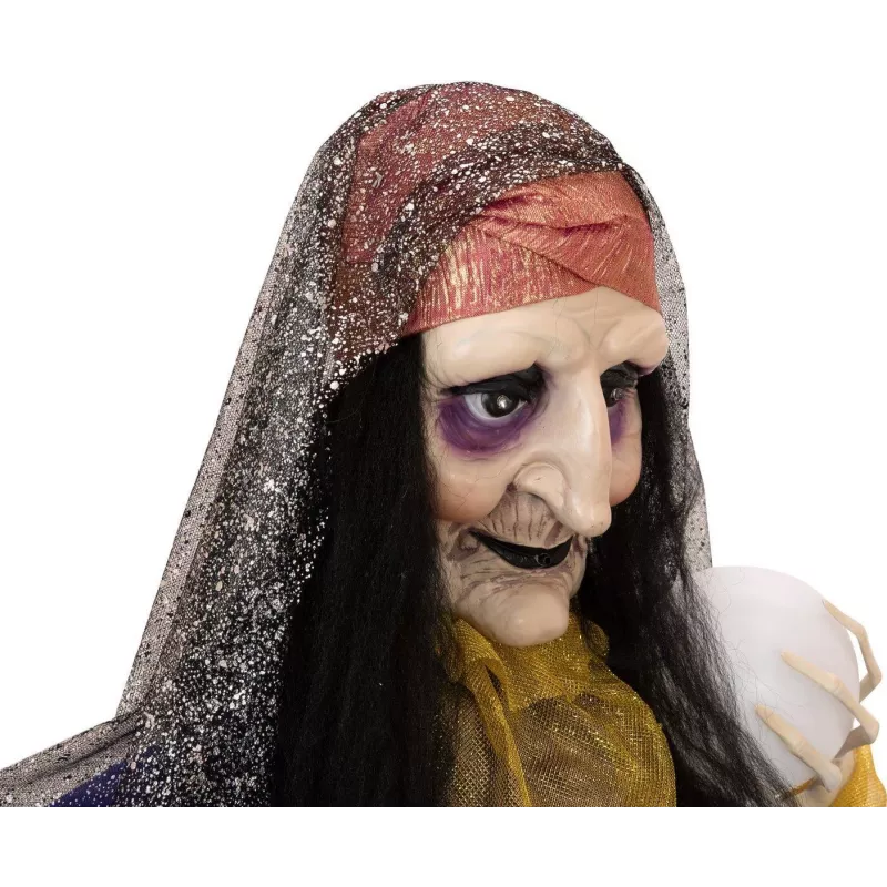 EUROPALMS Halloween Figura animada de vidente, 50cm 83316113