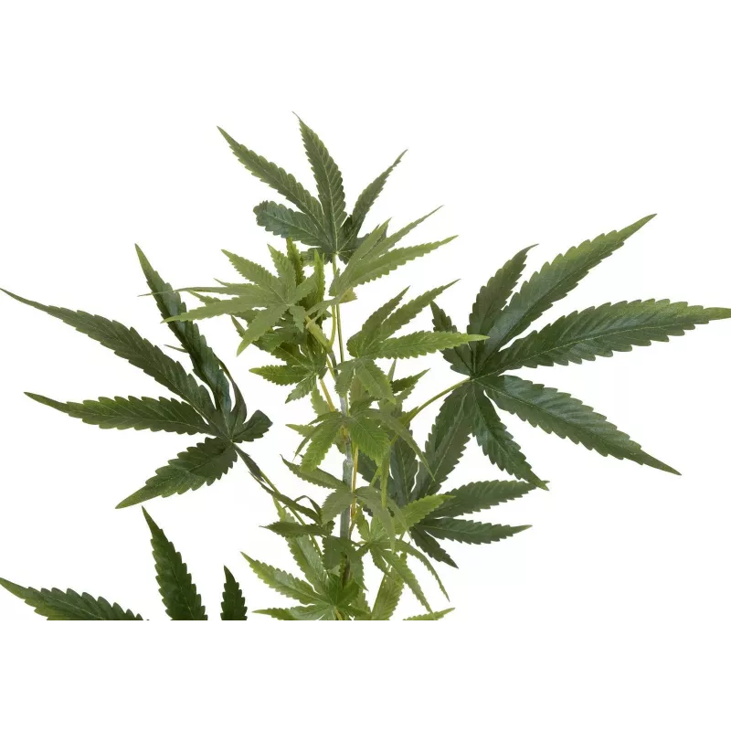 EUROPALMS Ramo de cânhamo artificial, 90cm, verde 82506699
