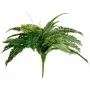 EUROPALMS Boston planta artificial feto, 53 cm, verde 82519934