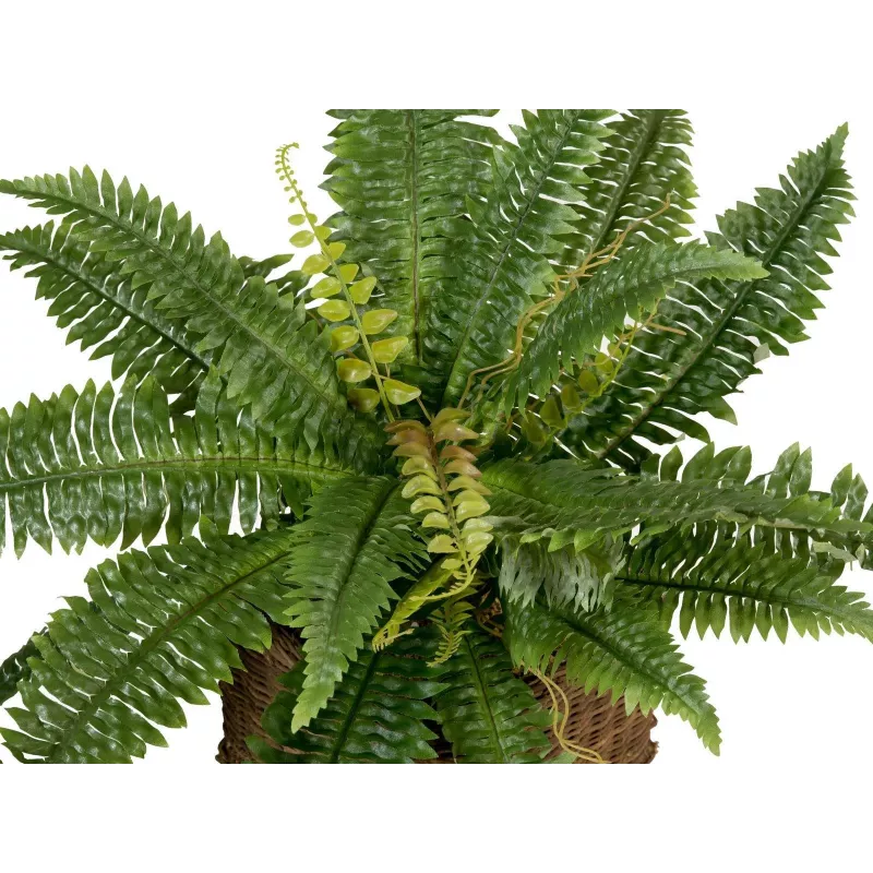 EUROPALMS Boston planta artificial feto, 53 cm, verde 82519934