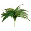EUROPALMS Boston planta artificial feto, 53 cm, verde 82519934