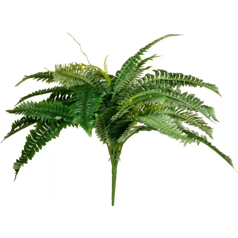 EUROPALMS Boston planta artificial feto, 53 cm, verde 82519934