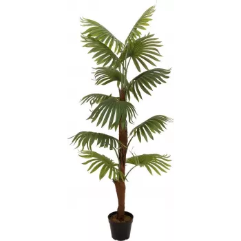 EUROPALMS palmeira leque planta artificial, 155 cm 82509303