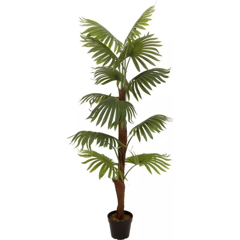 EUROPALMS palmeira leque planta artificial, 155 cm 82509303