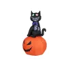 EUROPALMS Halloween Figura insuflável gato com abóbora, 183cm 83316152