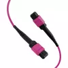 EFB Cabo de Patch Matriz MTP-F/MTP-F 36 Fibras OM4, LSZH Violeta Erika, Tipo A, 25m MTPF36MTPFOM4-25-A